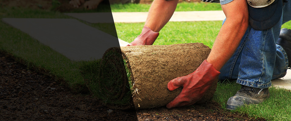 Lacombe Landscapers